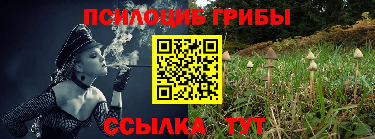 Галлюциногенные грибы ЛСД Сосновоборск