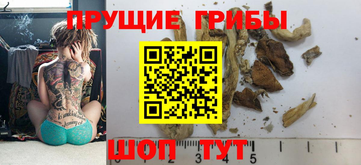 дарнет шоп  Псилоцибиновые грибы MAGIC MUSHROOMS  Вход с VPN  Сосновоборск 